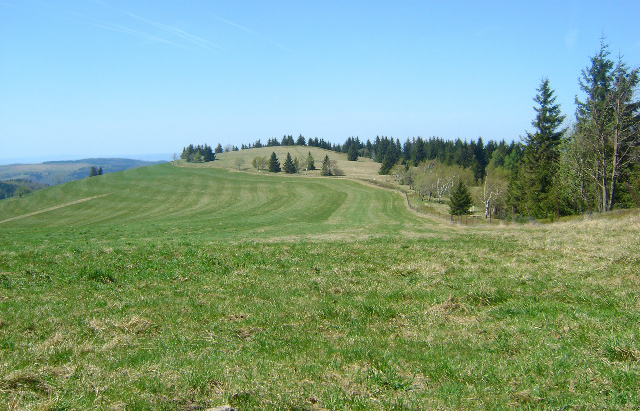 Pańska Góra (Góry Orlickie)