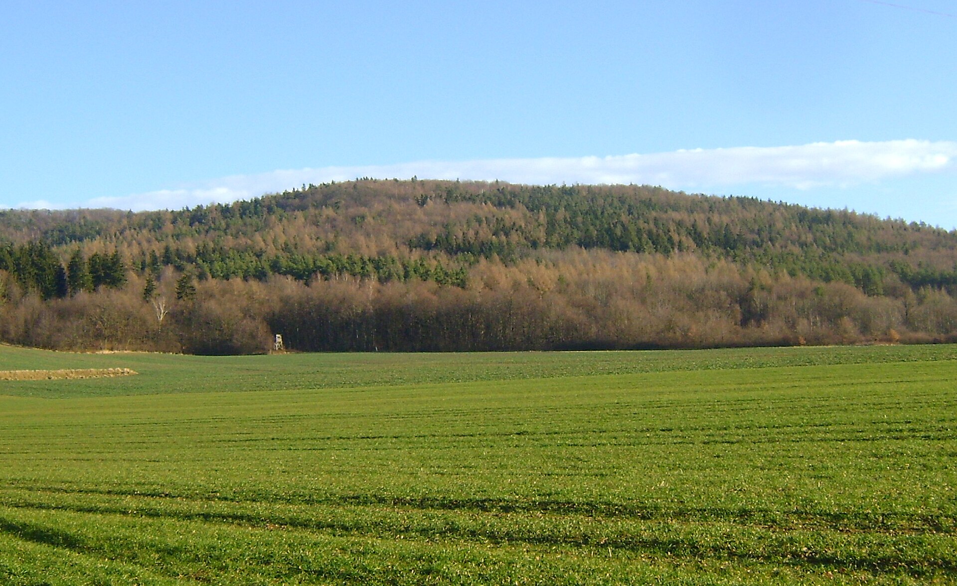 Szczytna