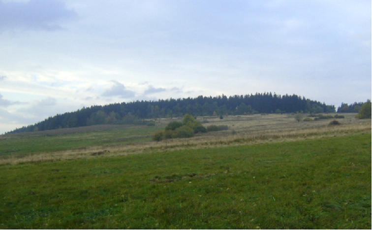 Wojkowa (góra)