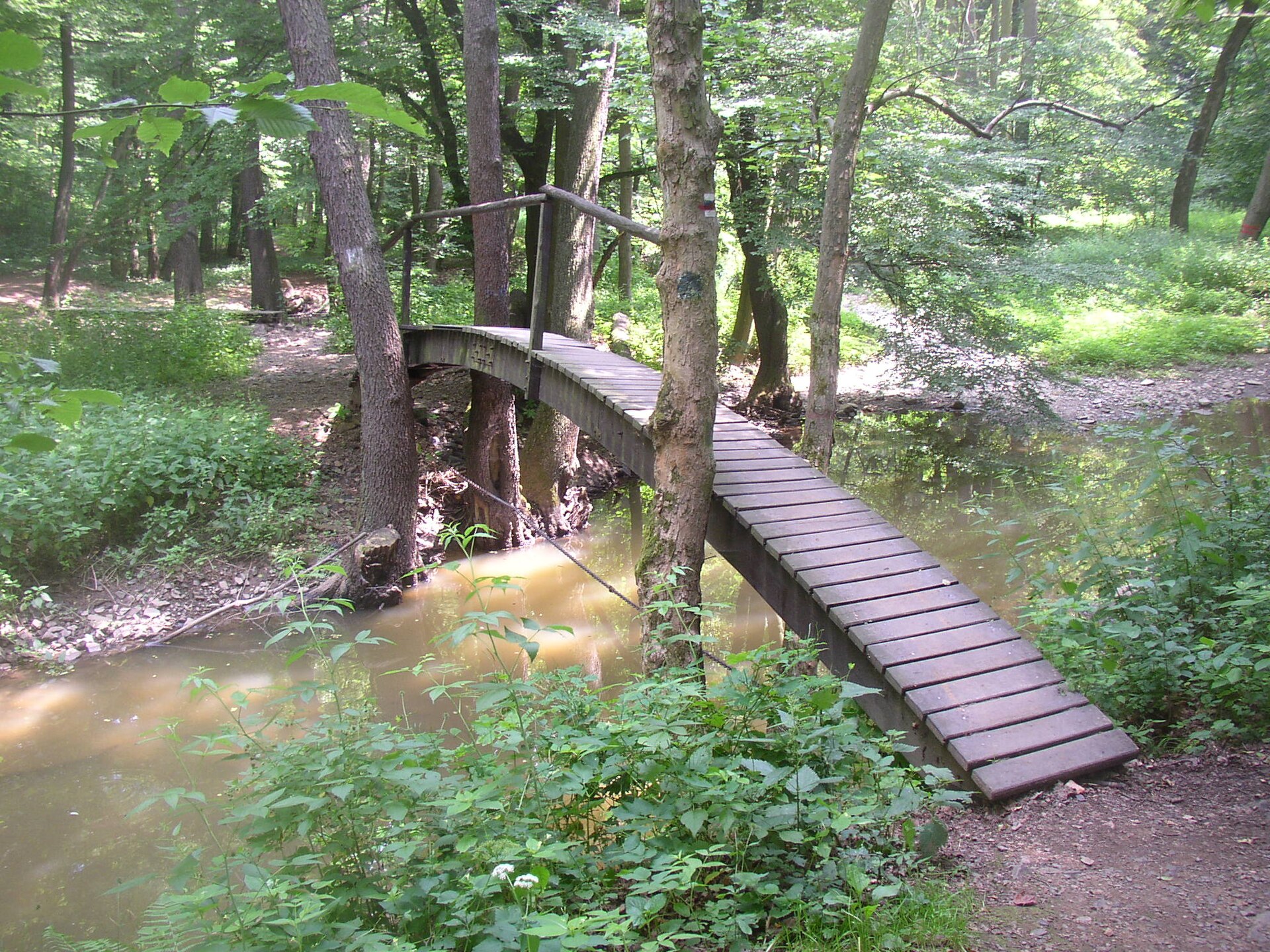 Skryjská jezírka