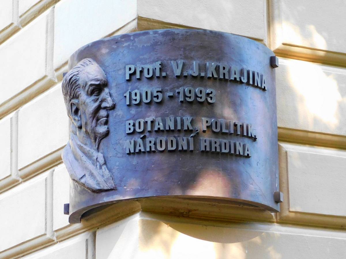 Vladimír Krajina