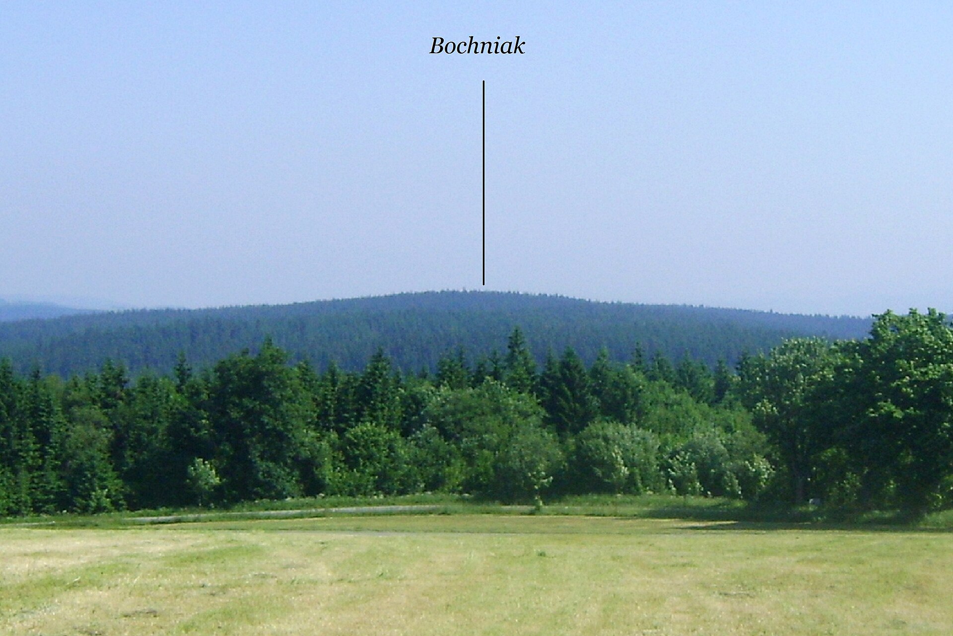 Bochniak