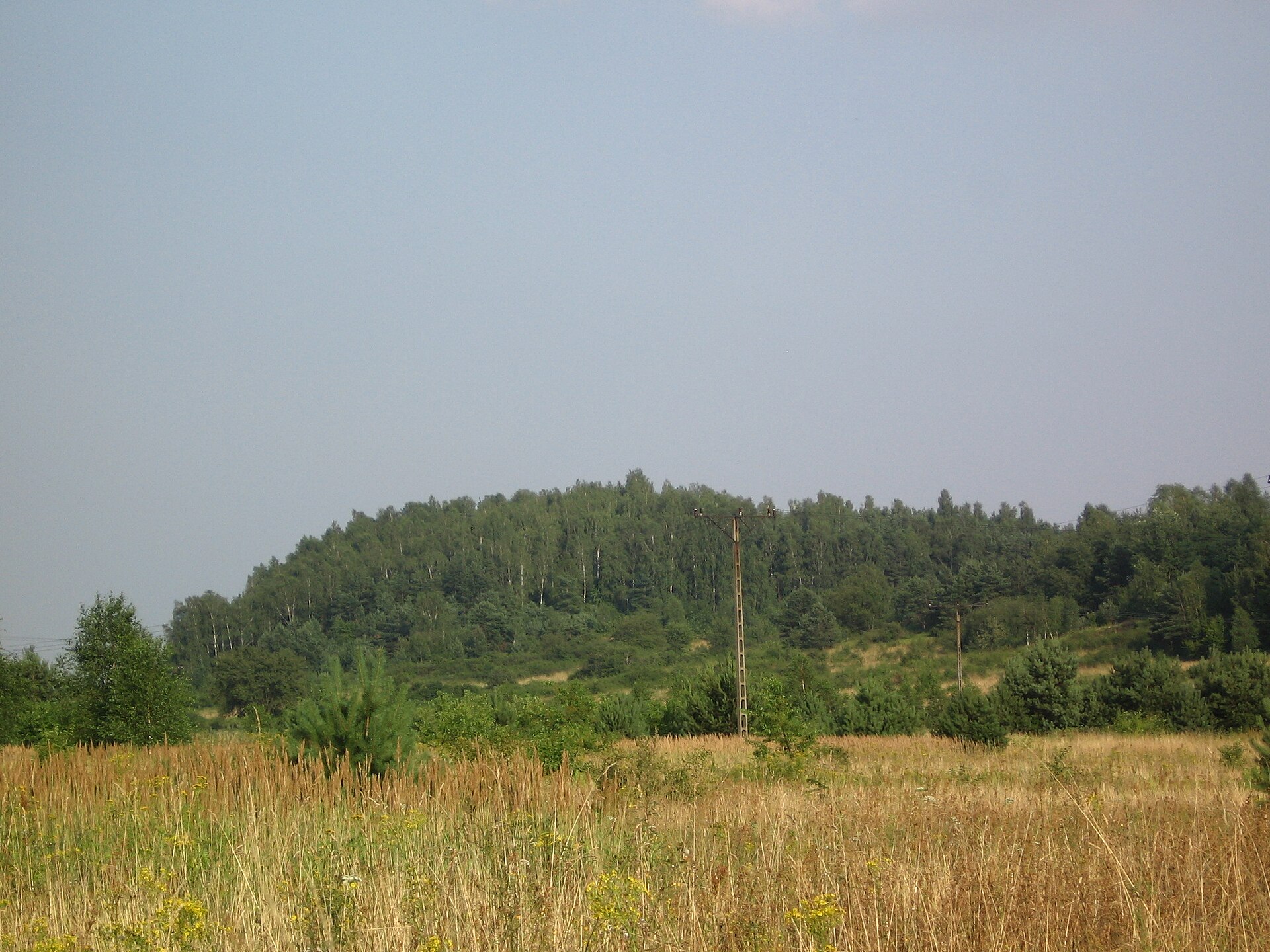 Dalnia (Góry Świętokrzyskie)