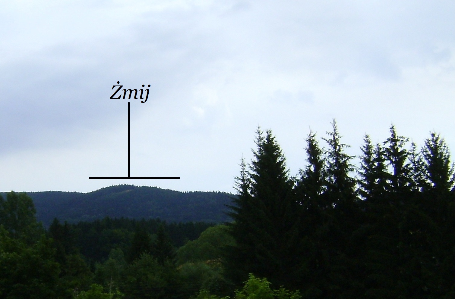 Żmij
