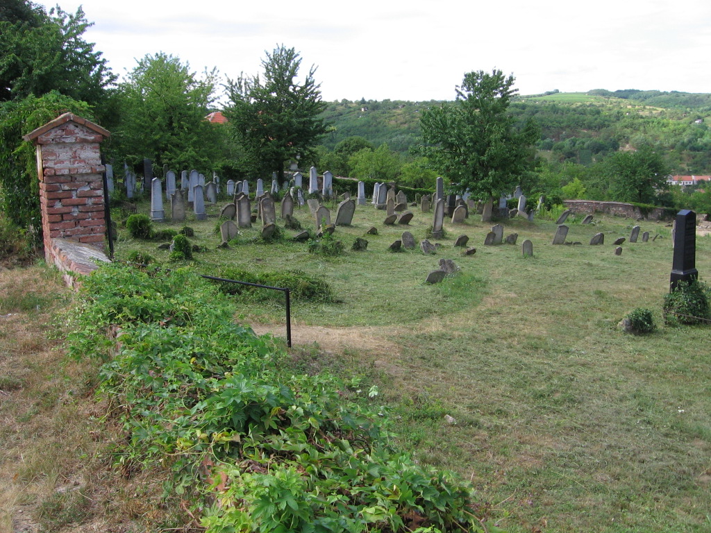 Jewish cemetery Dolní Kounice