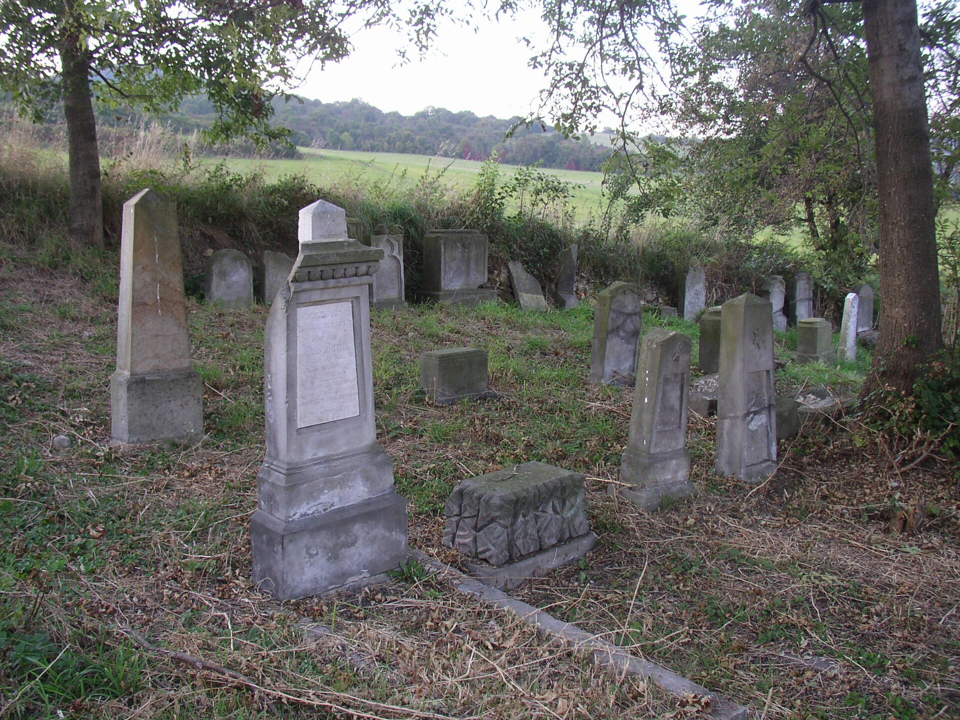Jewish cemetery in Čížkovice