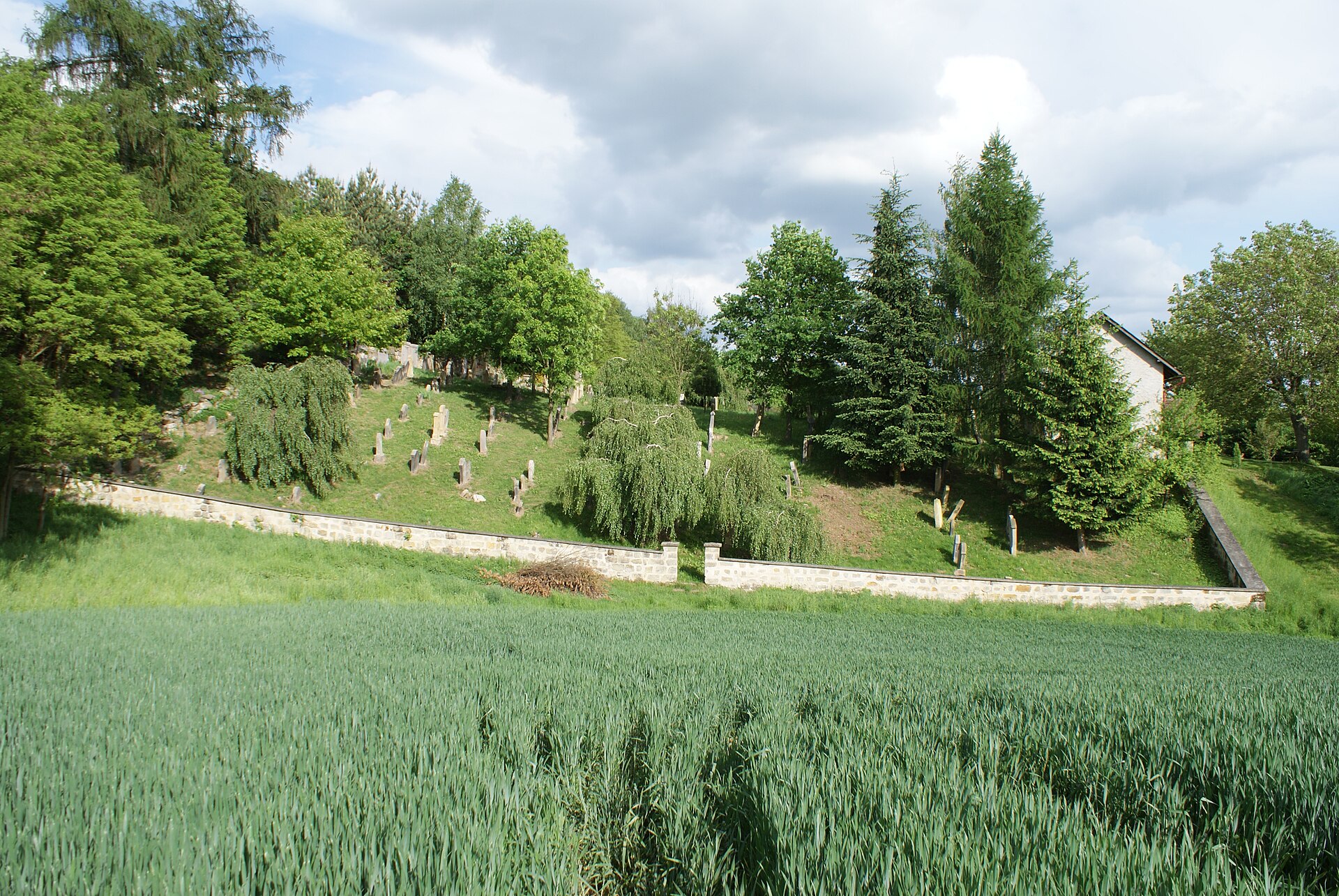 Jewish cemetery in Veselice