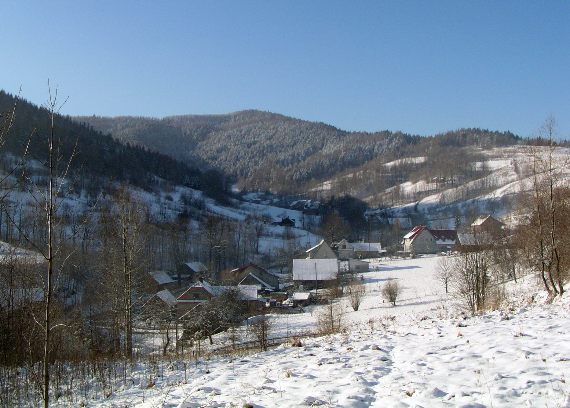 Gancarz