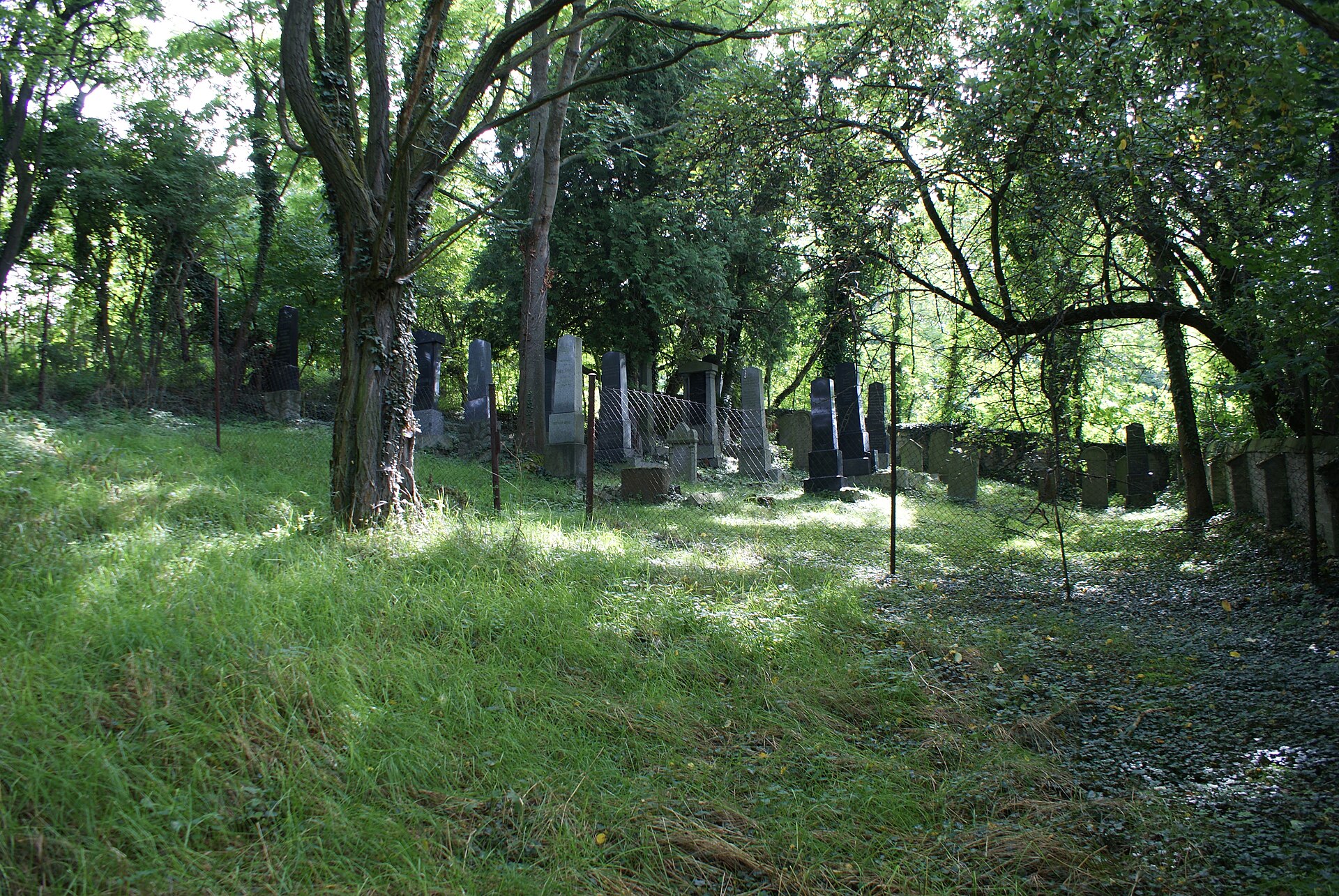 New Jewish cemetery in Švihov
