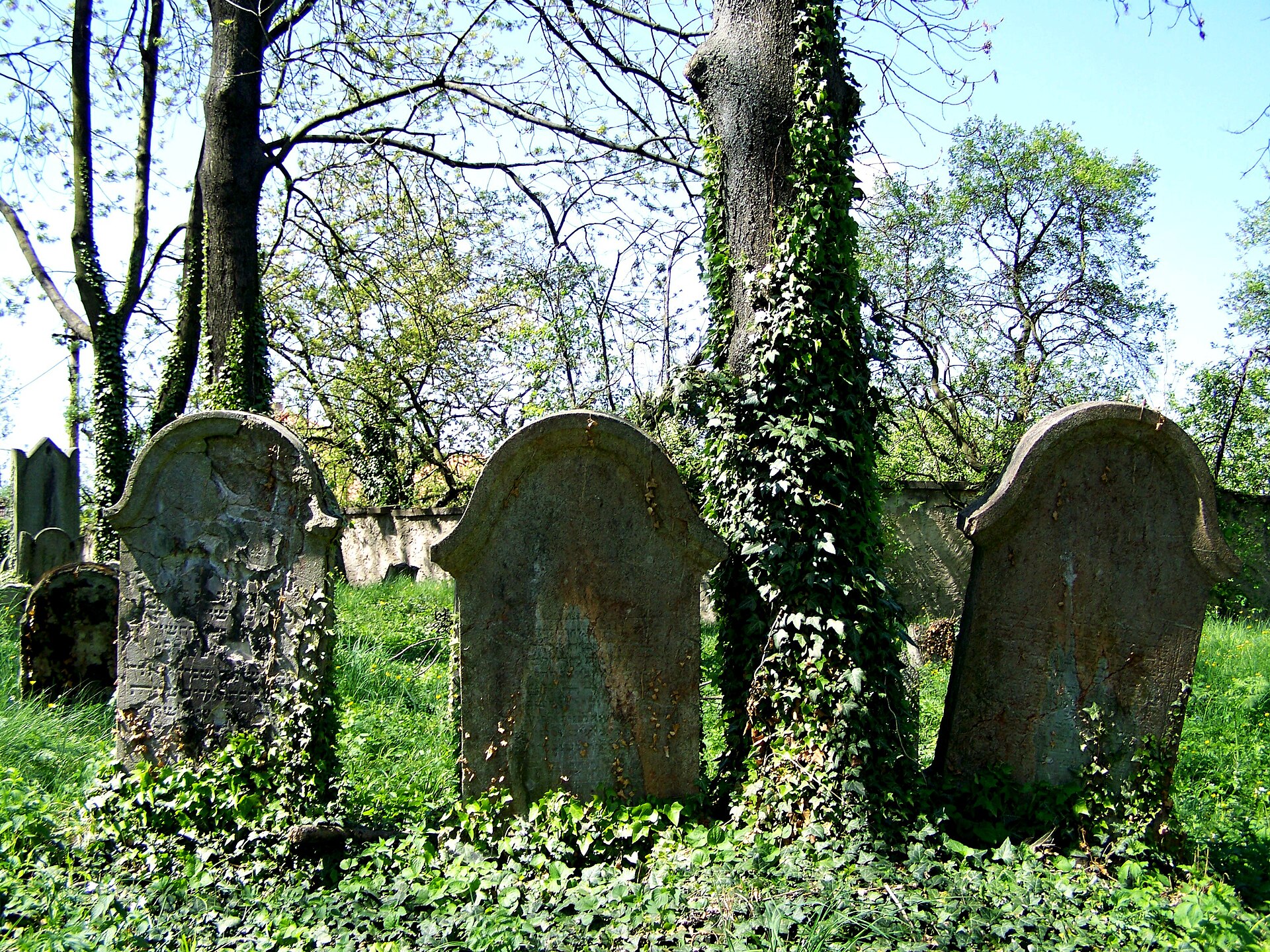 Old Jewish cemetery in Kolín