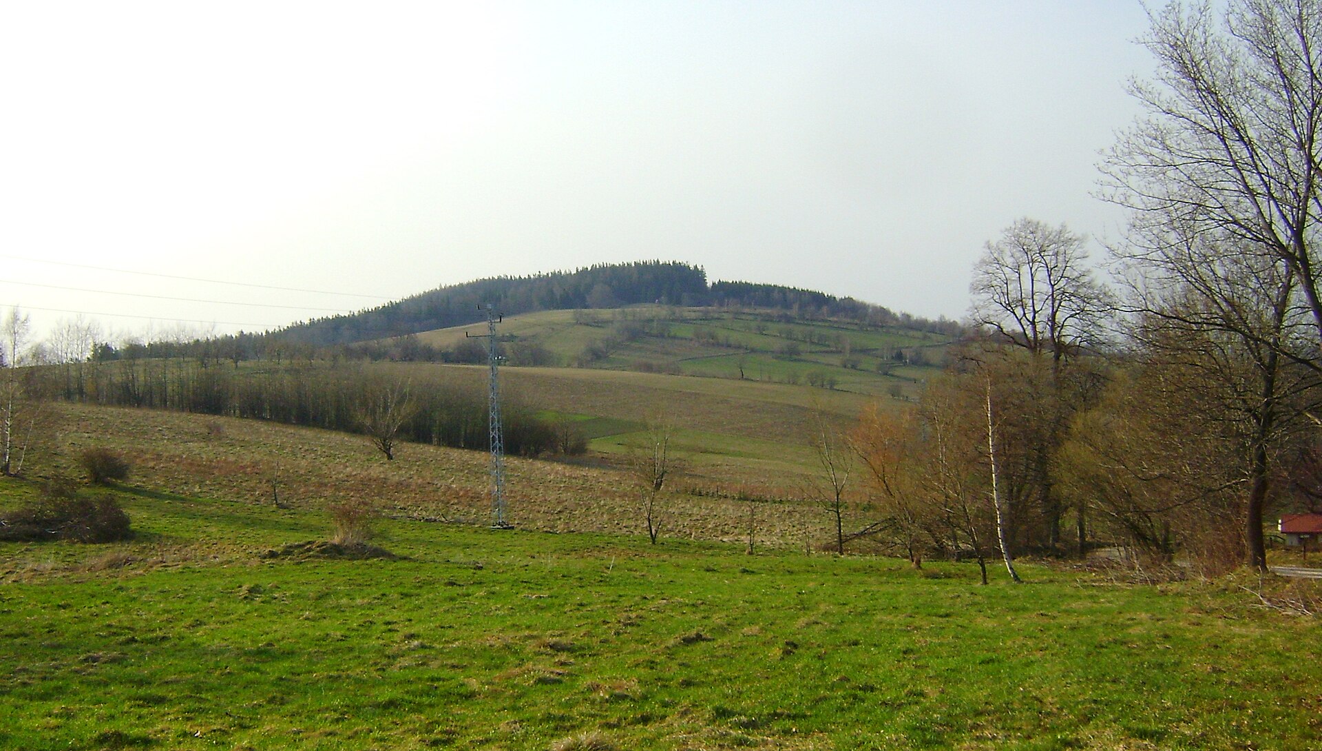 Jasia