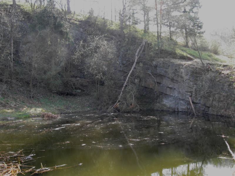 Černá skála (natural monument, Blansko District)