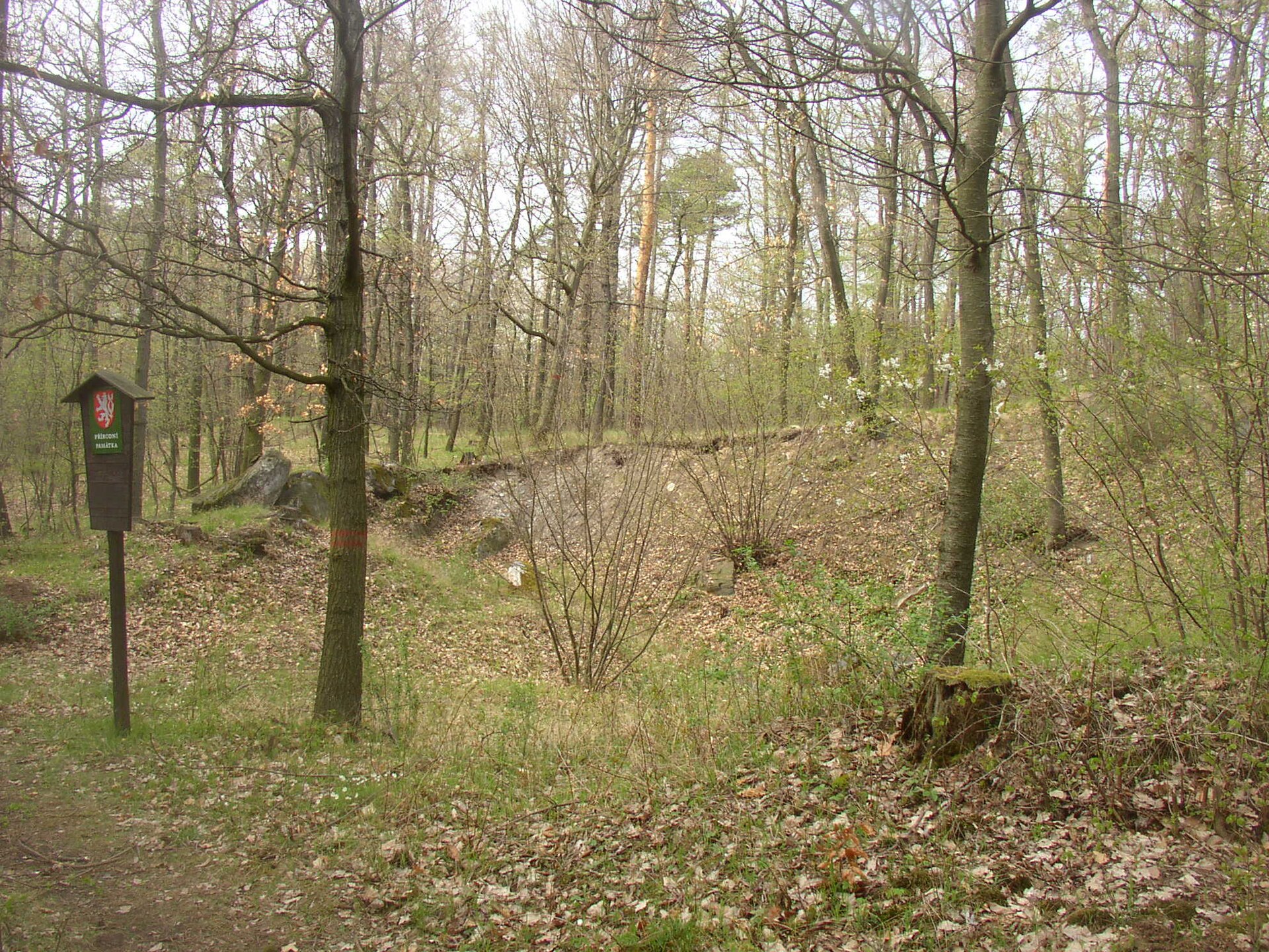 Žraločí zuby
