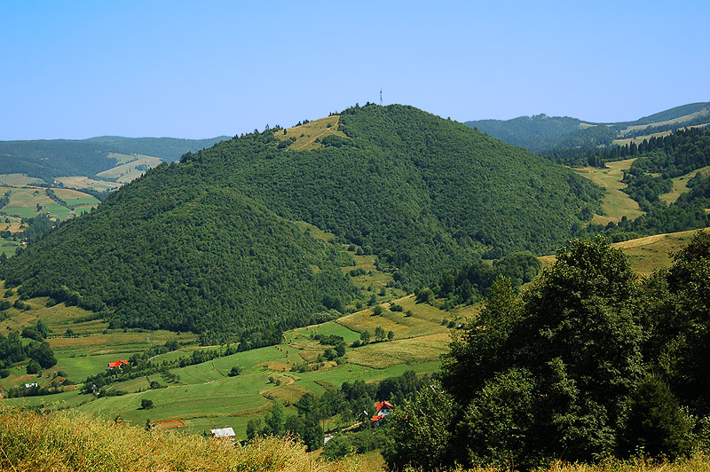Jarmuta