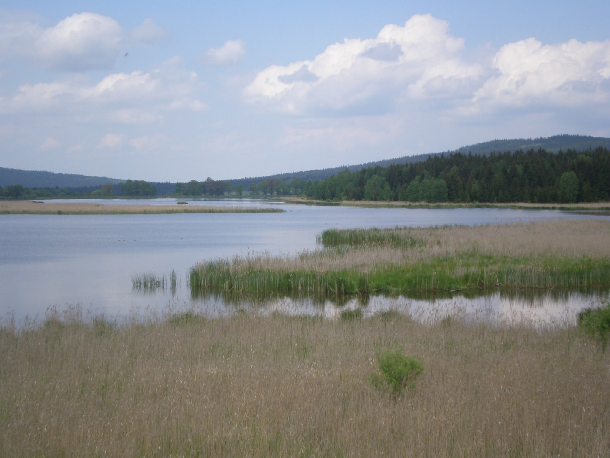 Brdy Protected Landscape Area