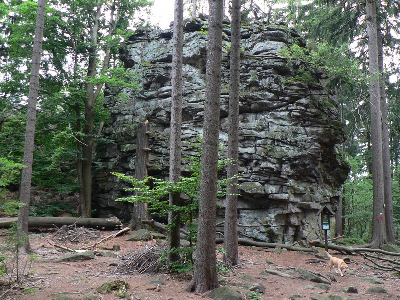 Žďárské vrchy Protected Landscape Area