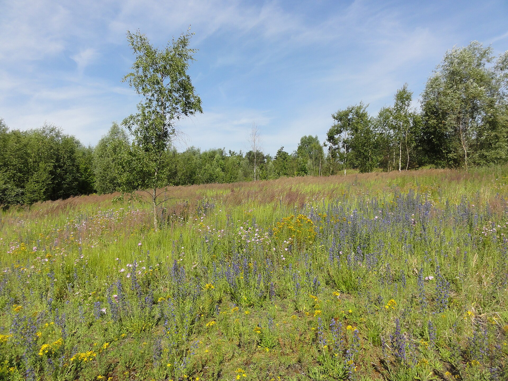 réserve naturelle régionale des Annelles, Lains et Pont Pinnet