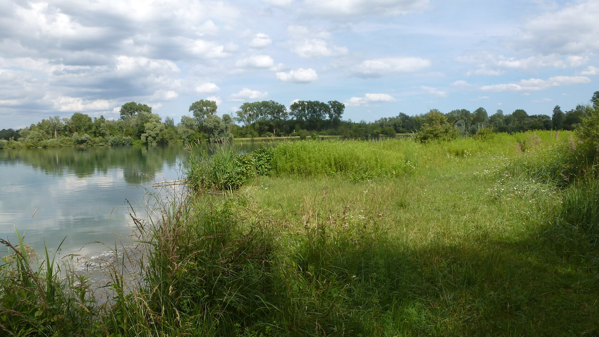 Réserve naturelle nationale de l'île du Rohrschollen