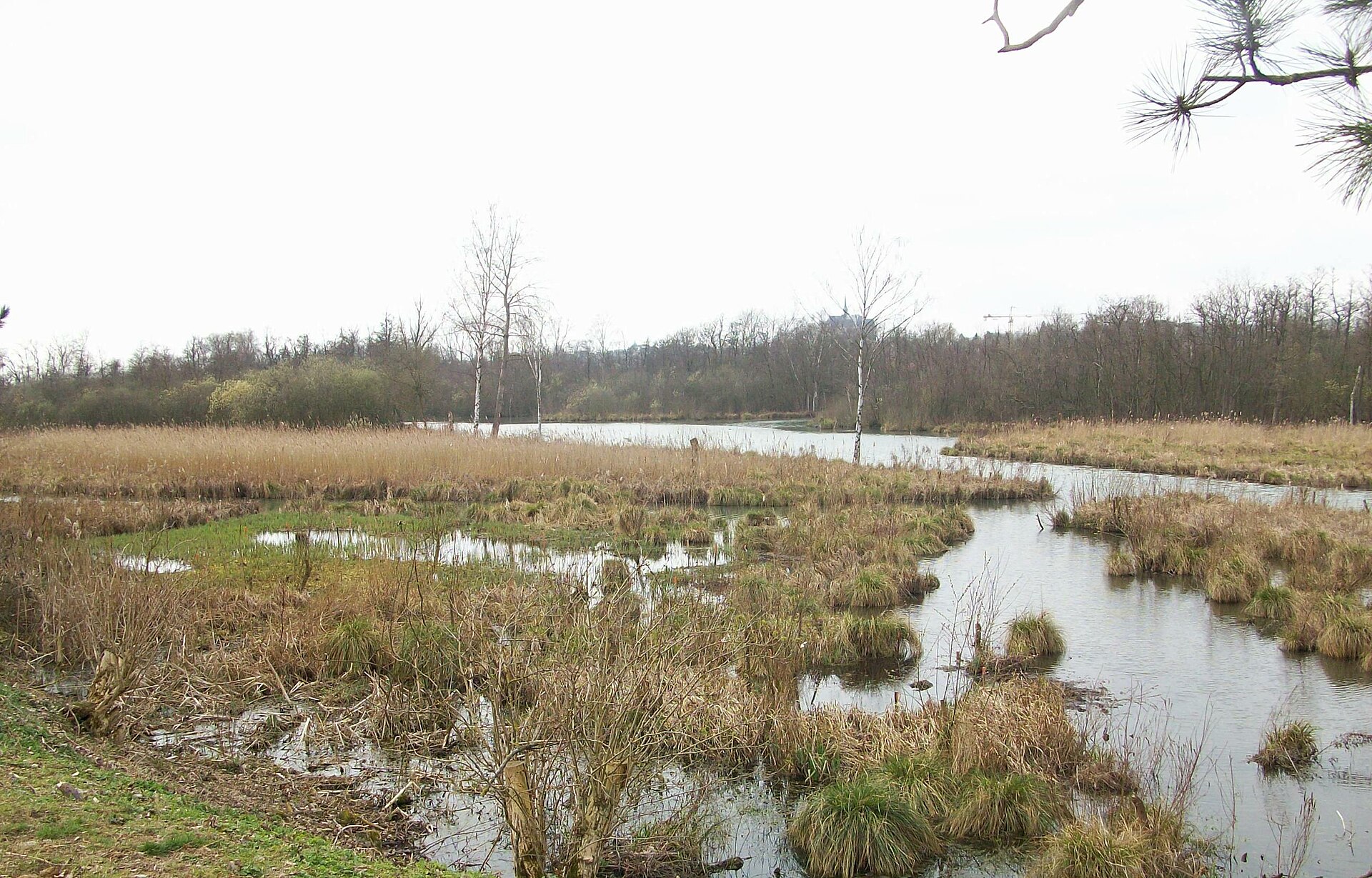 Réserve naturelle nationale des marais d'Isle