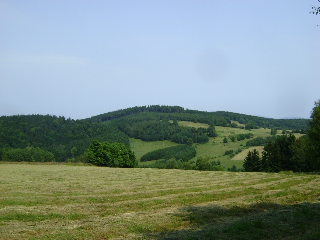 Kokot