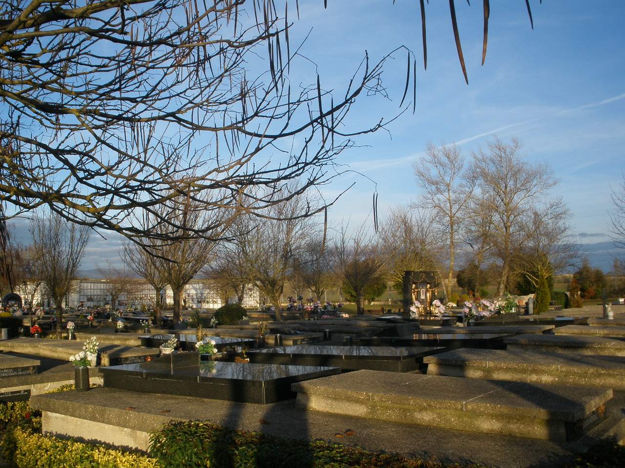 Cemetery of El Salvador