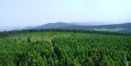 Kozia Równia