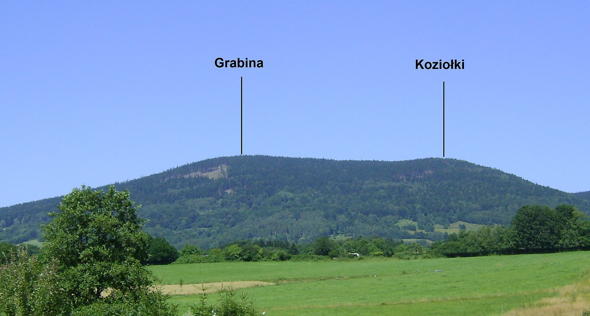 Koziołki