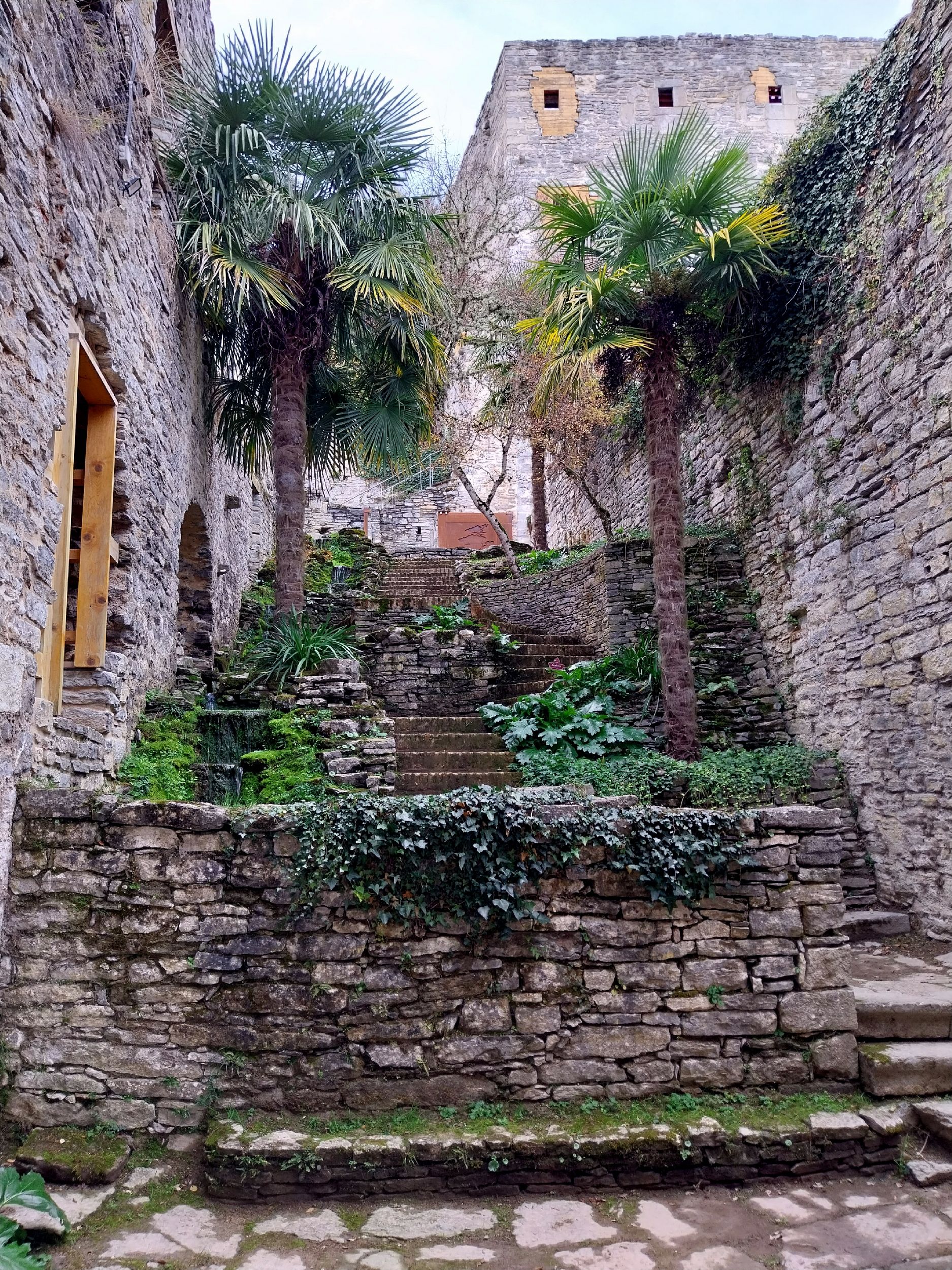Botanical Garden of Santa Catalina
