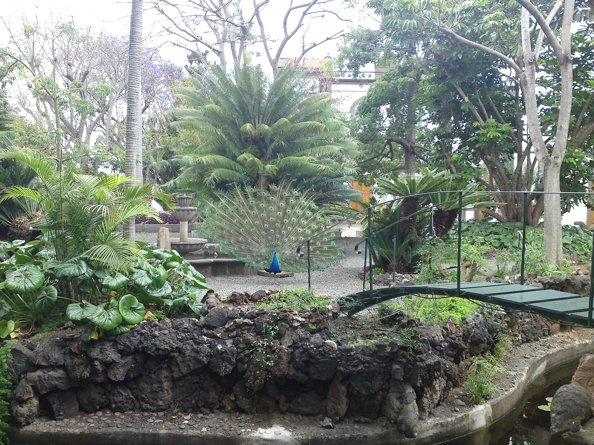 Jardin de la Marquesa de Arucas