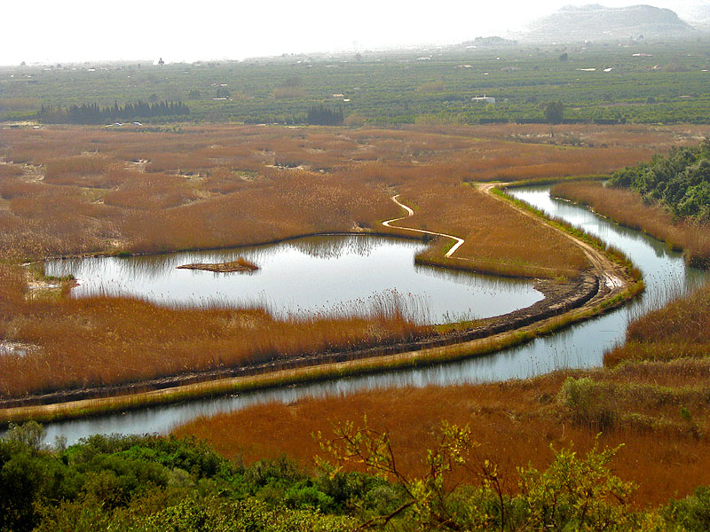 Marjal de Pego-Oliva Natural Park