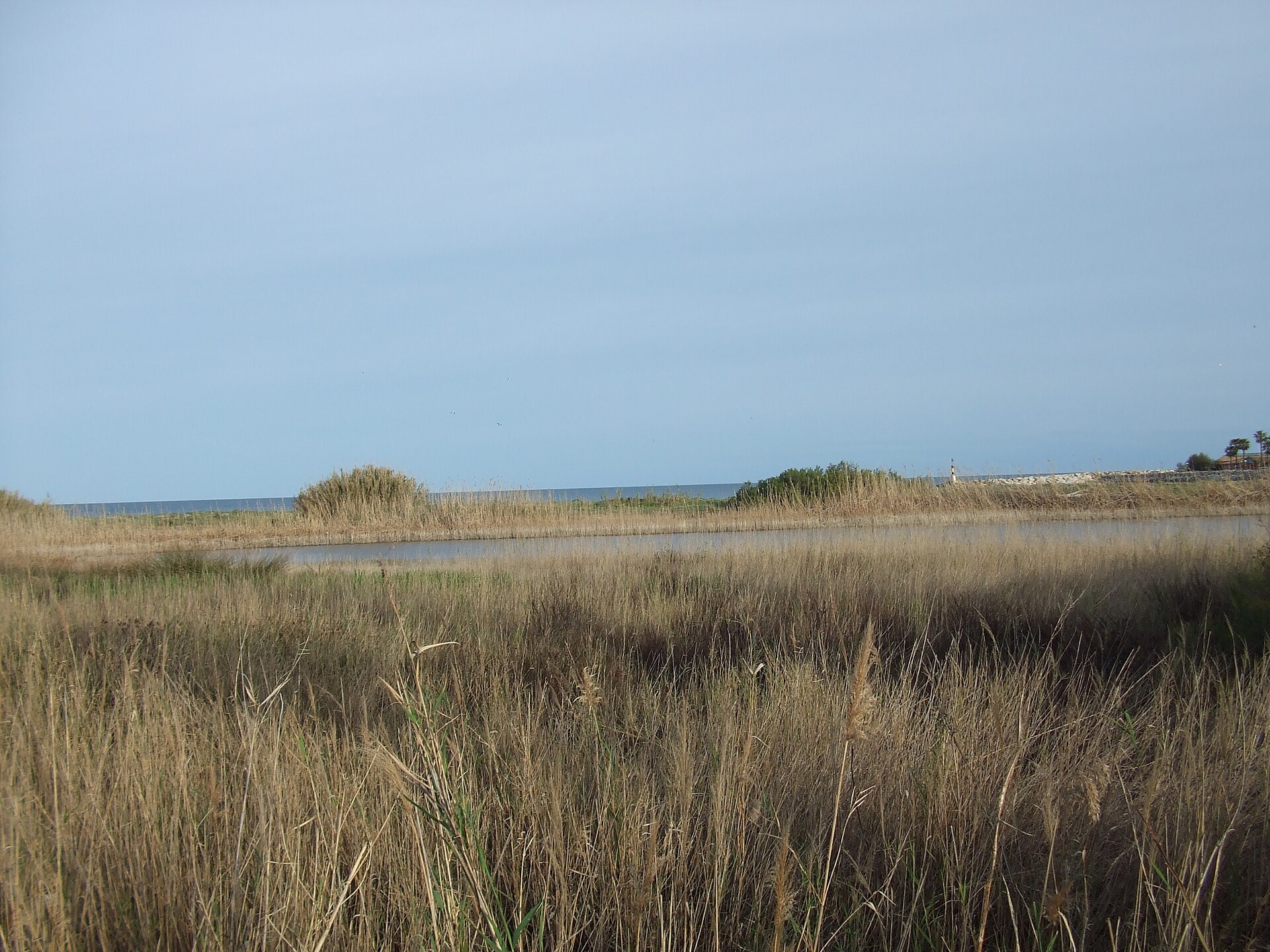 Paraje natural del estuario del río Guadiaro
