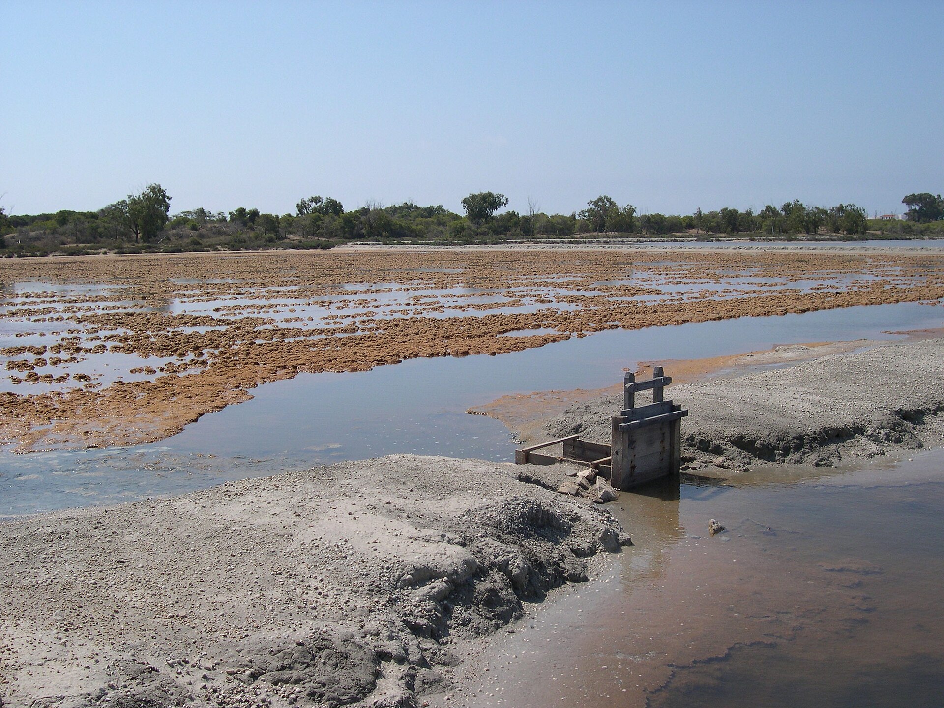 Salinas de Santa Pola Natural Park
