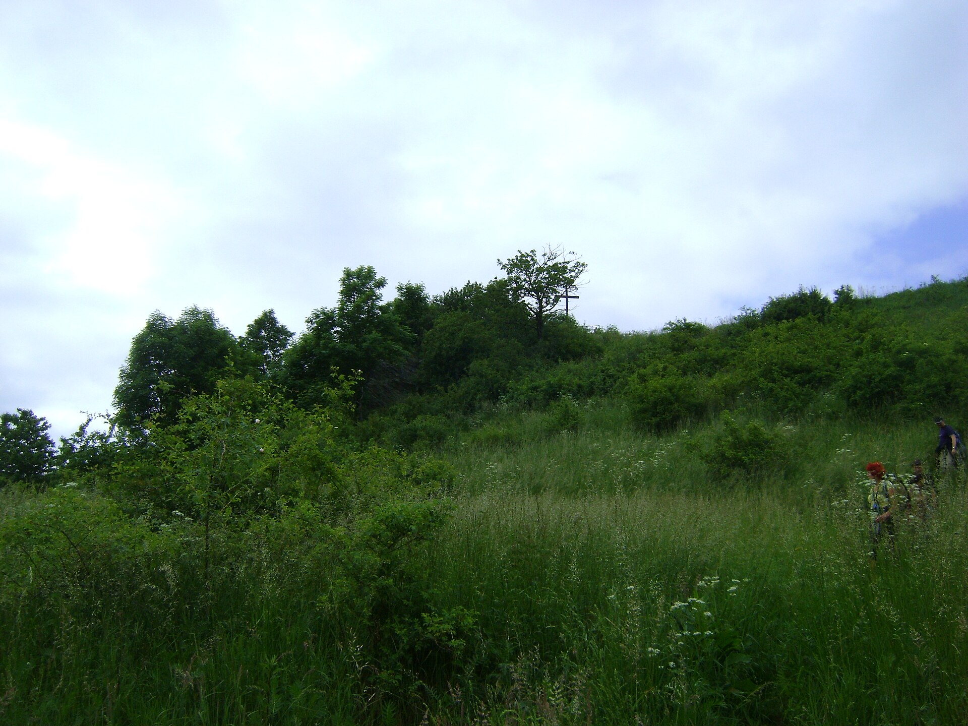 Krzyżowa (Góry Kaczawskie)