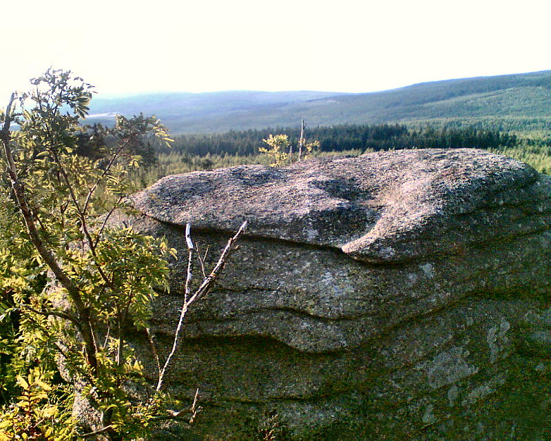 Krogulec