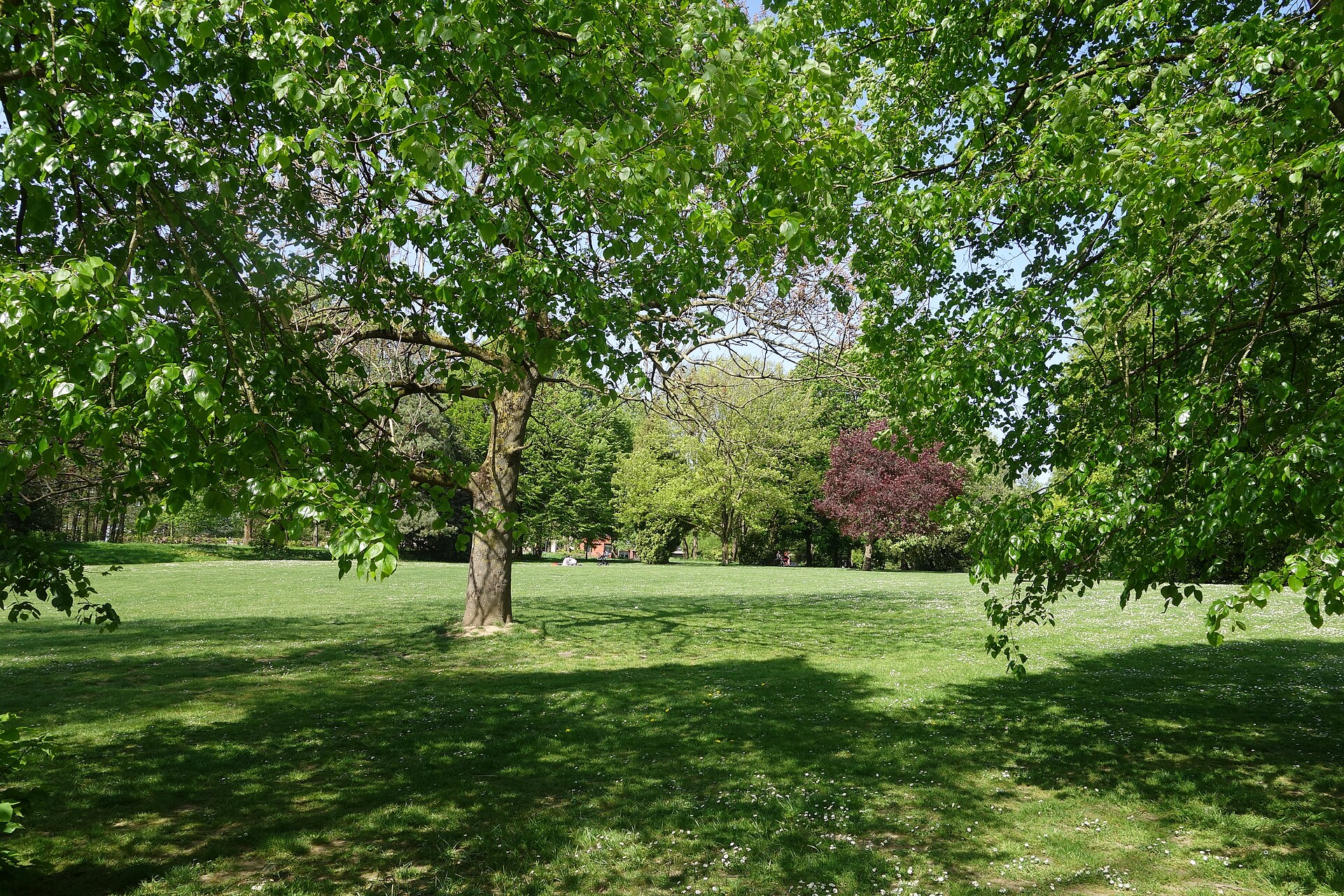 Parc Forestier