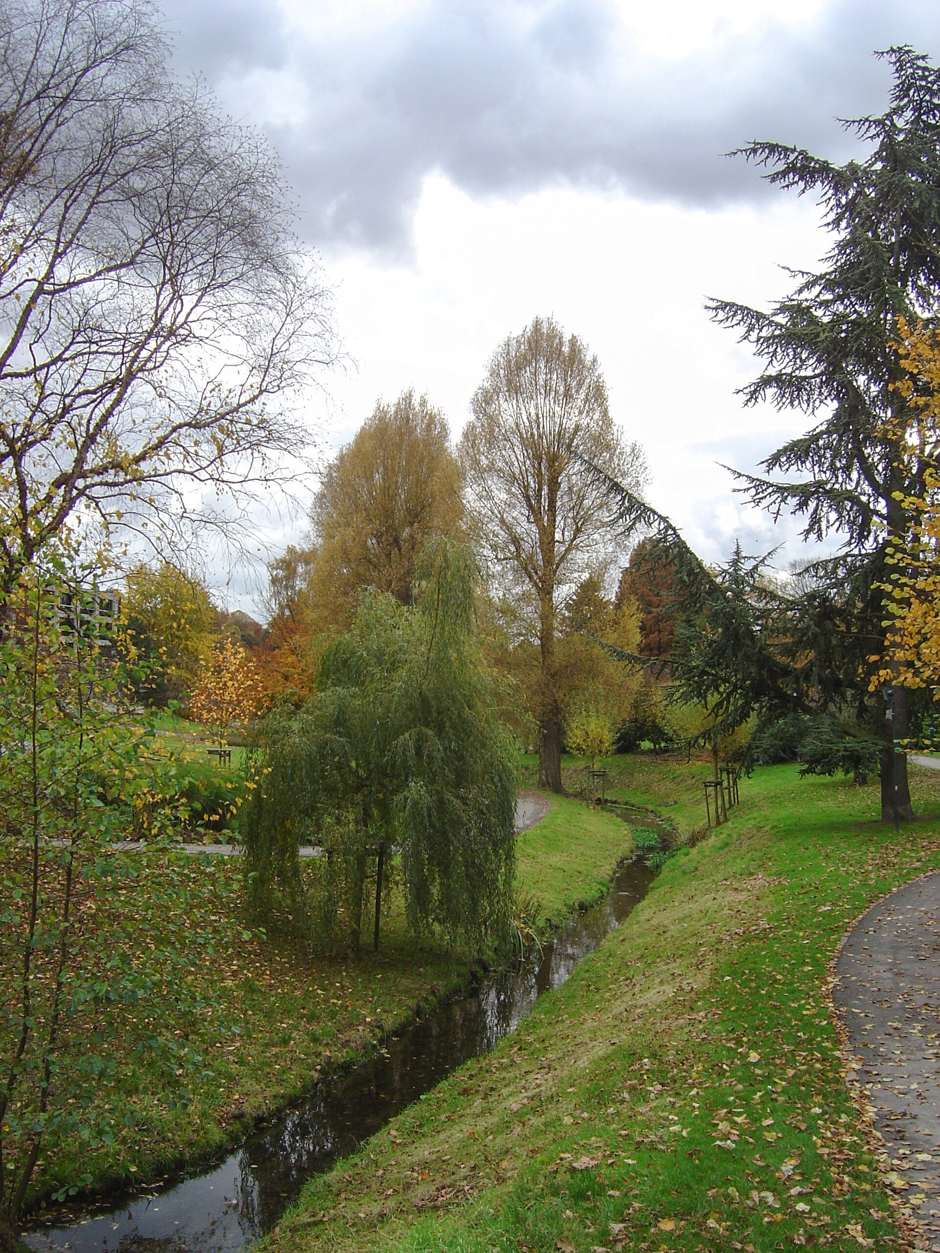 Seny Park