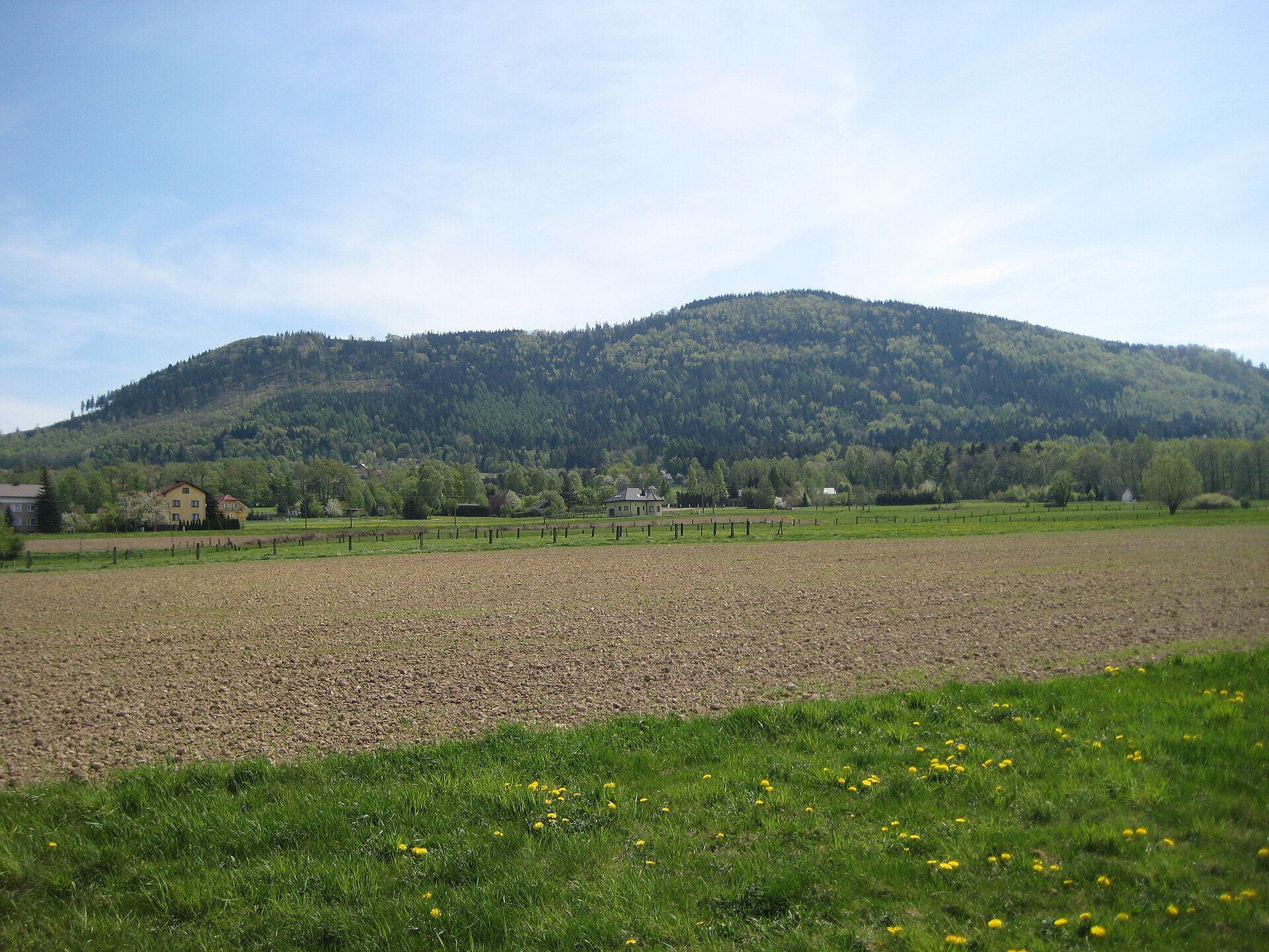 Lipowski Groń