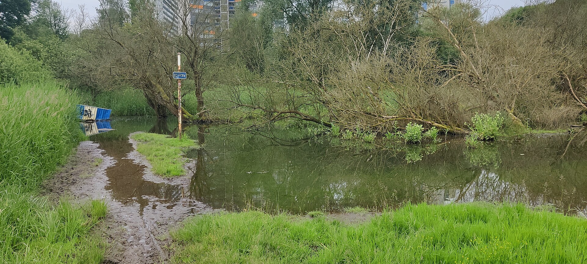 Swamp of Ganshoren