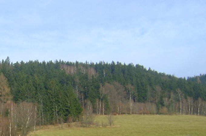 Opacz (Masyw Śnieżnika)