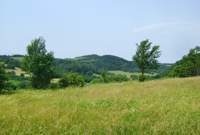 Przygodna Kopa