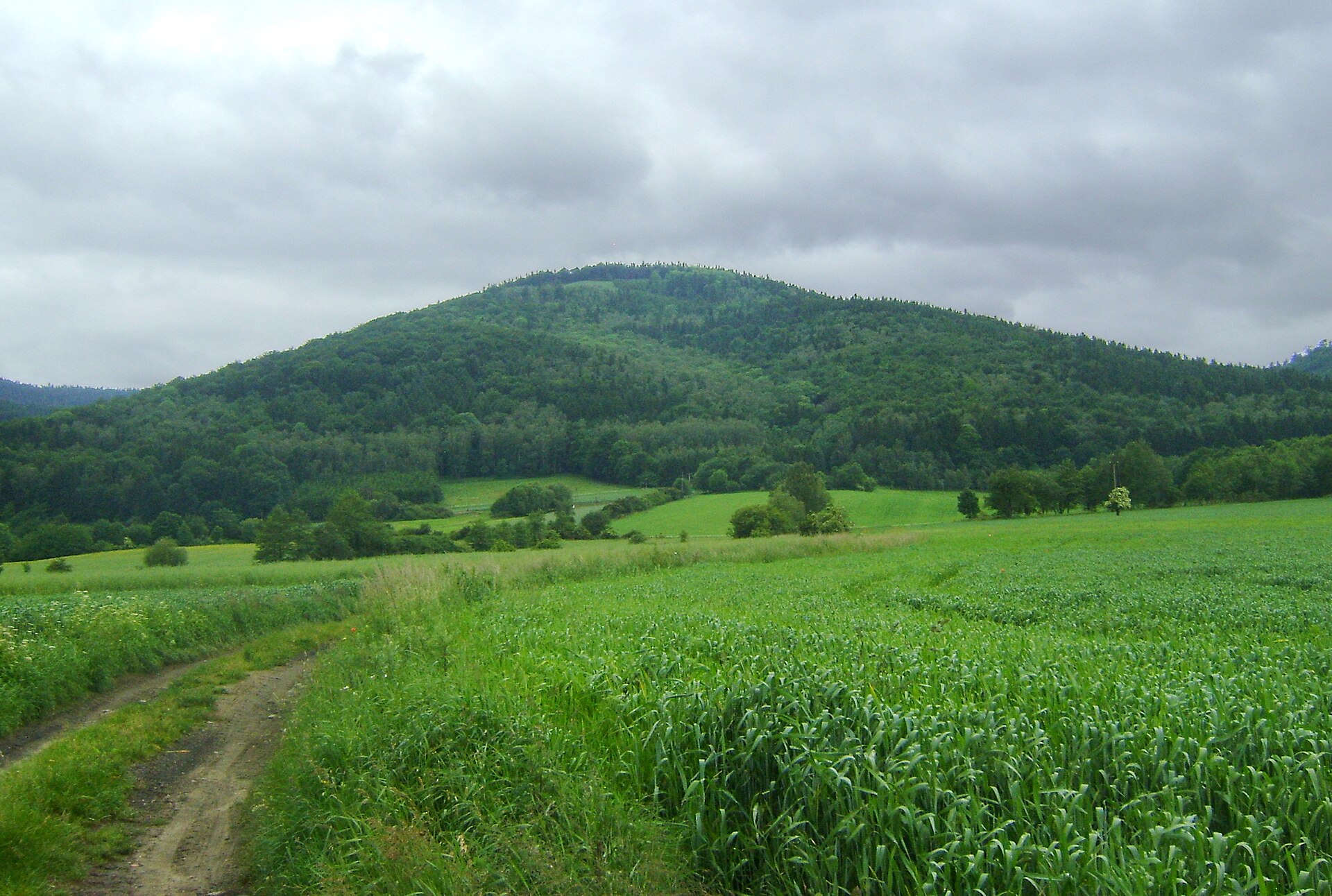 Czeszka