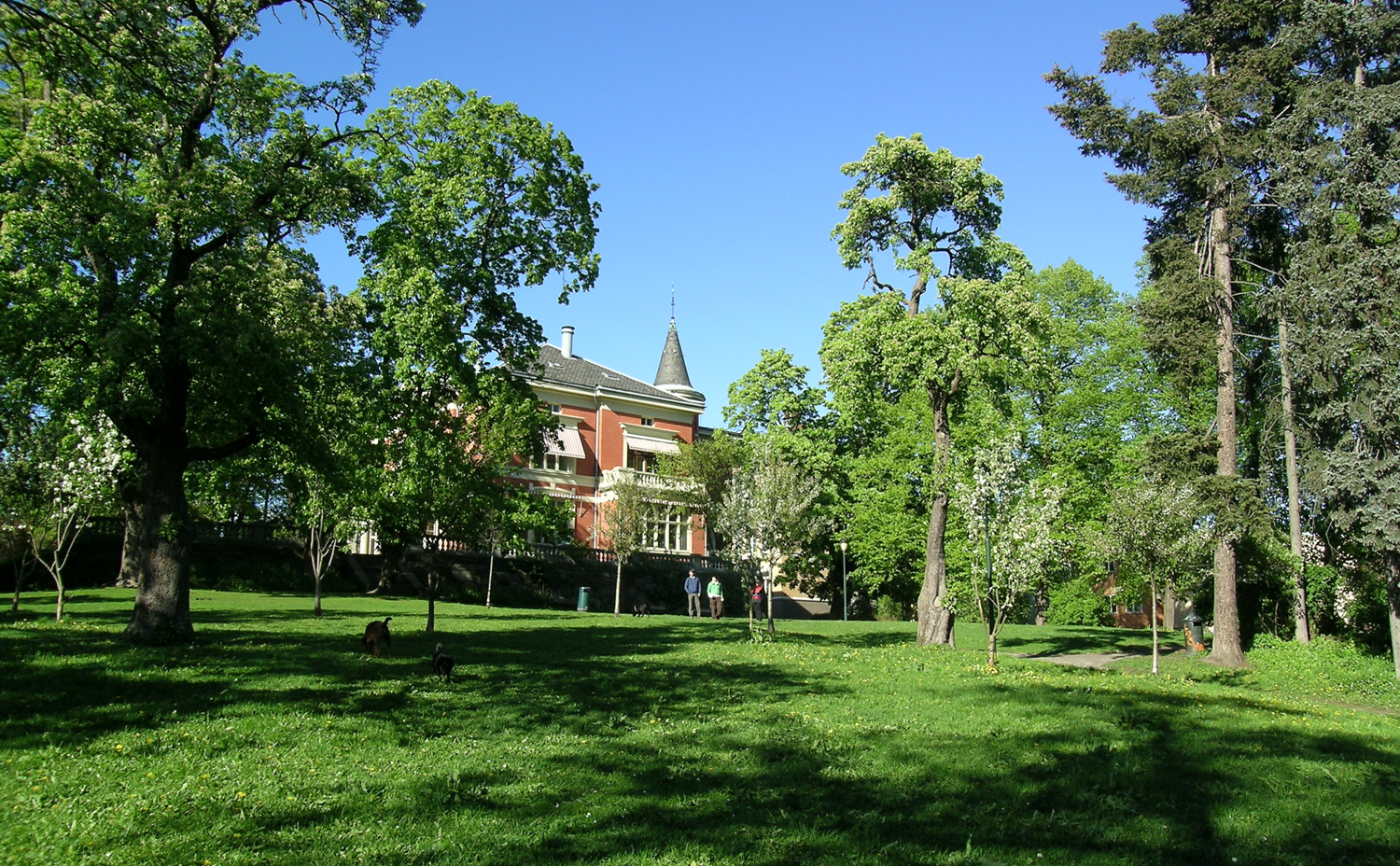 Langaardsløkken