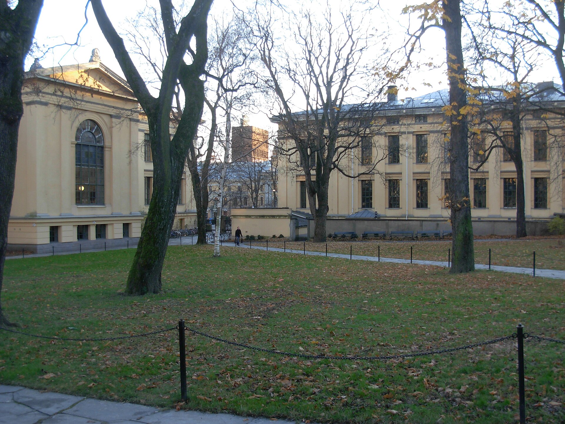 Universitetshagen