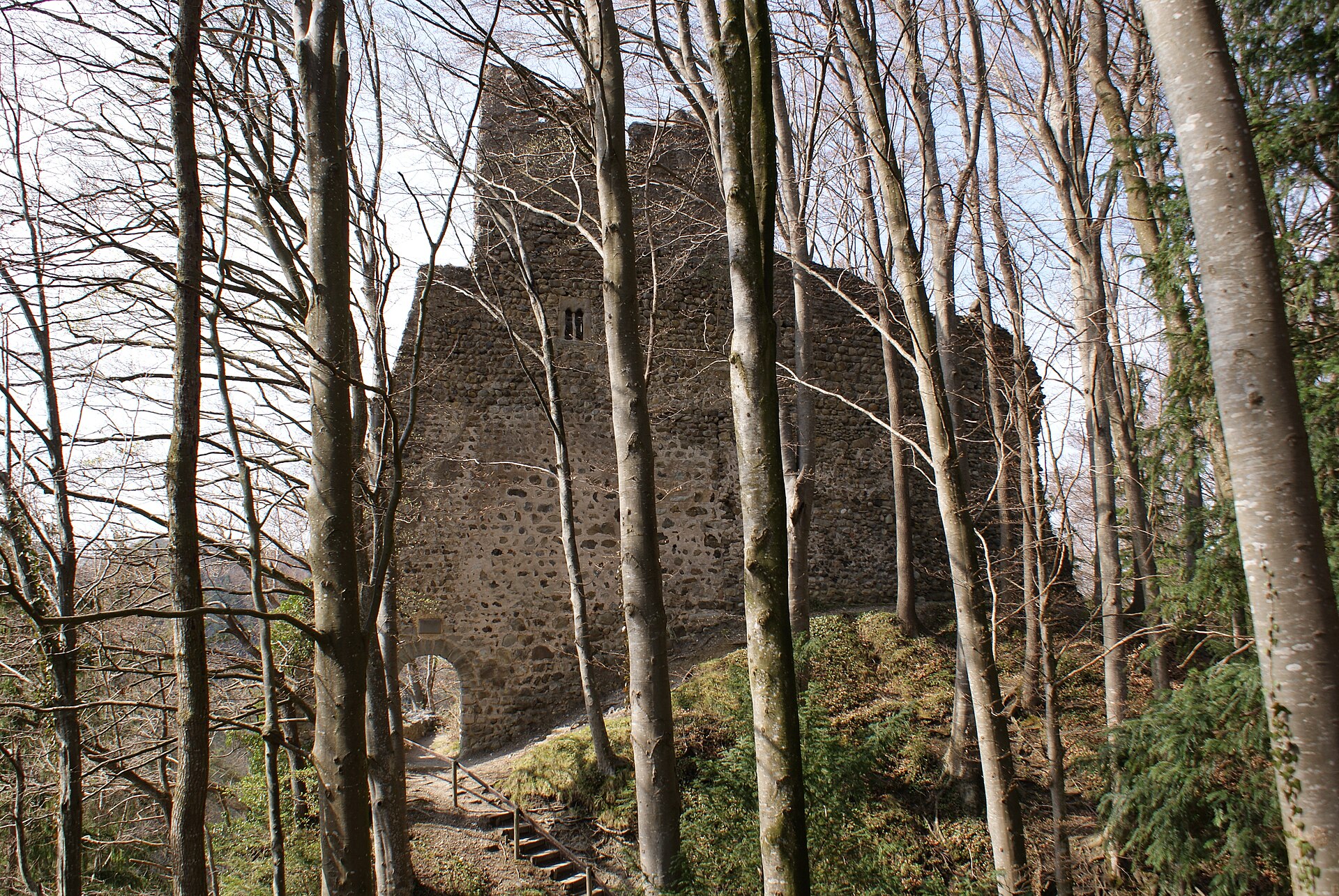 Old Ramschwag castle ruin