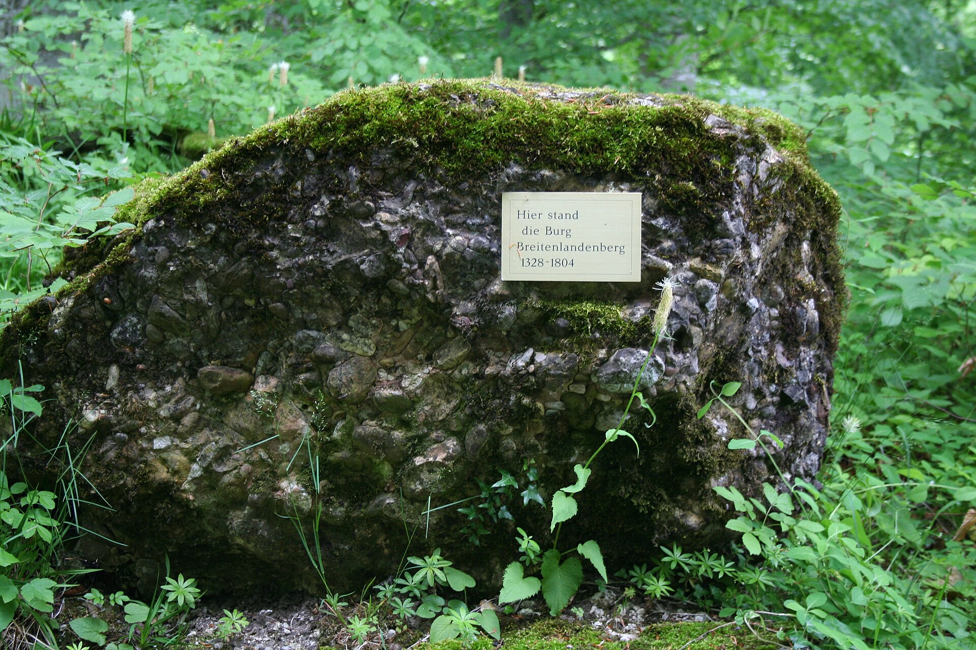 Breitenlandenberg ruins