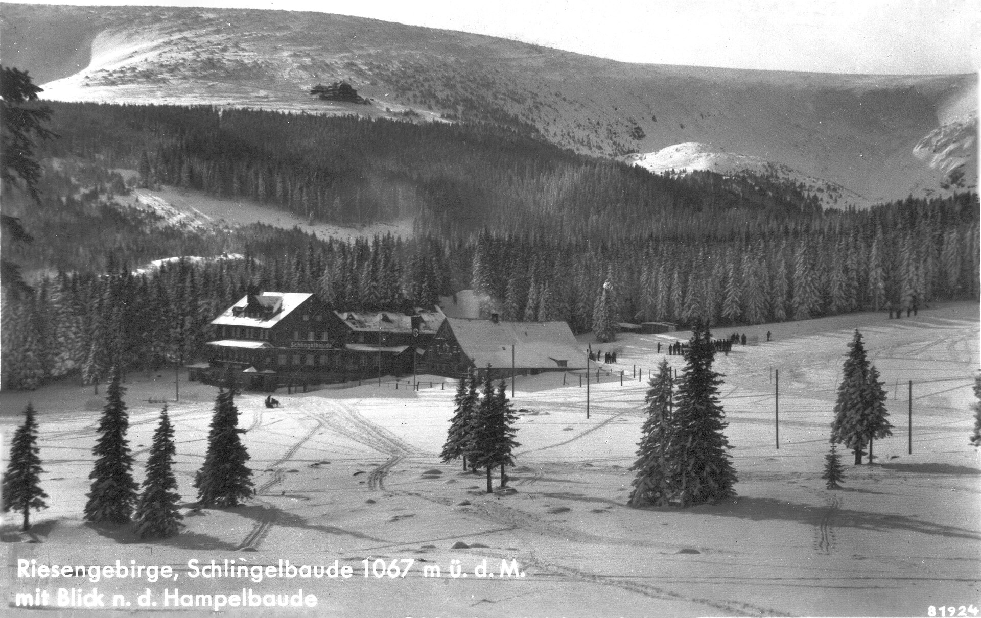 Polana (Karkonosze)