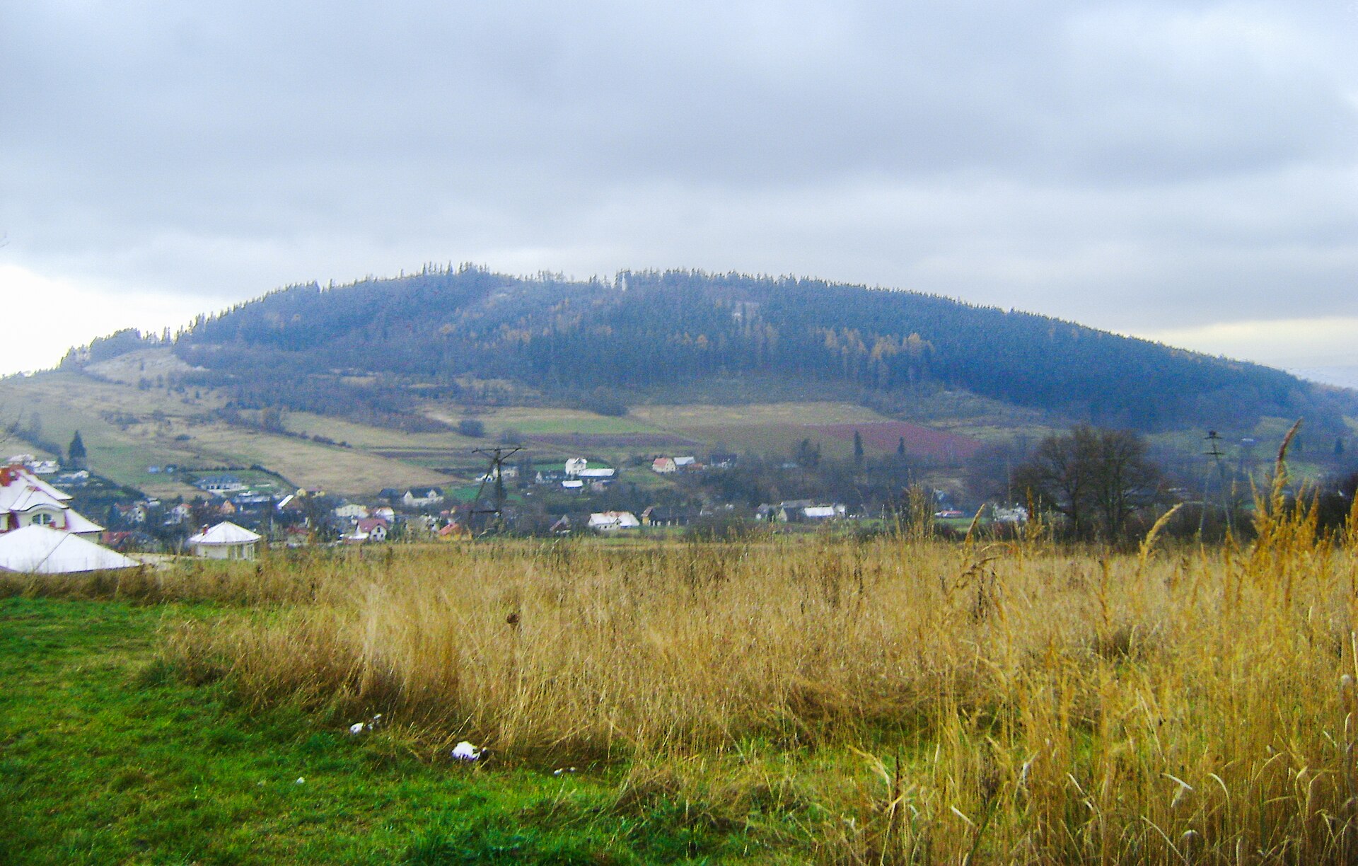 Wilkowiec