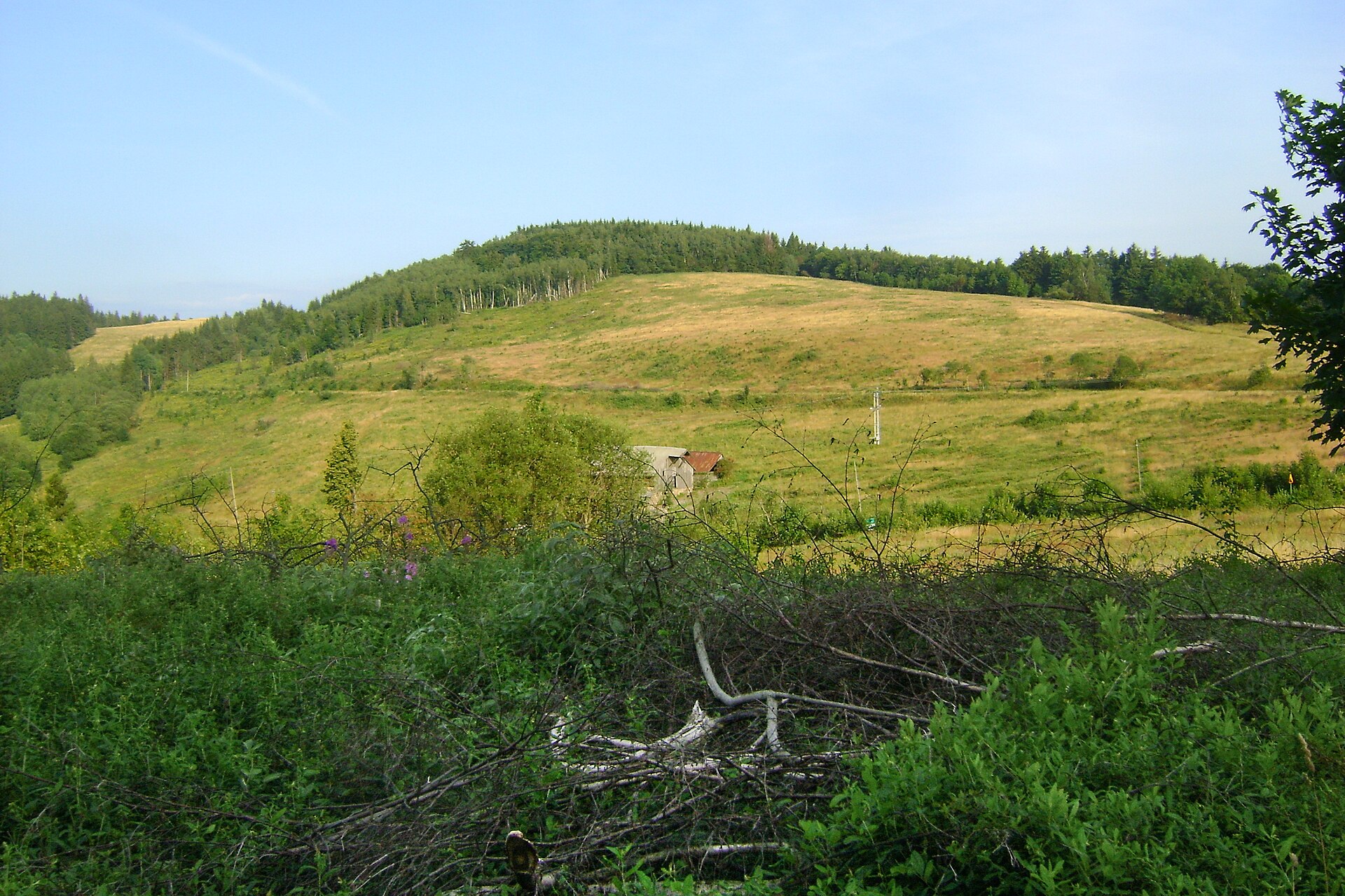 Dębosz