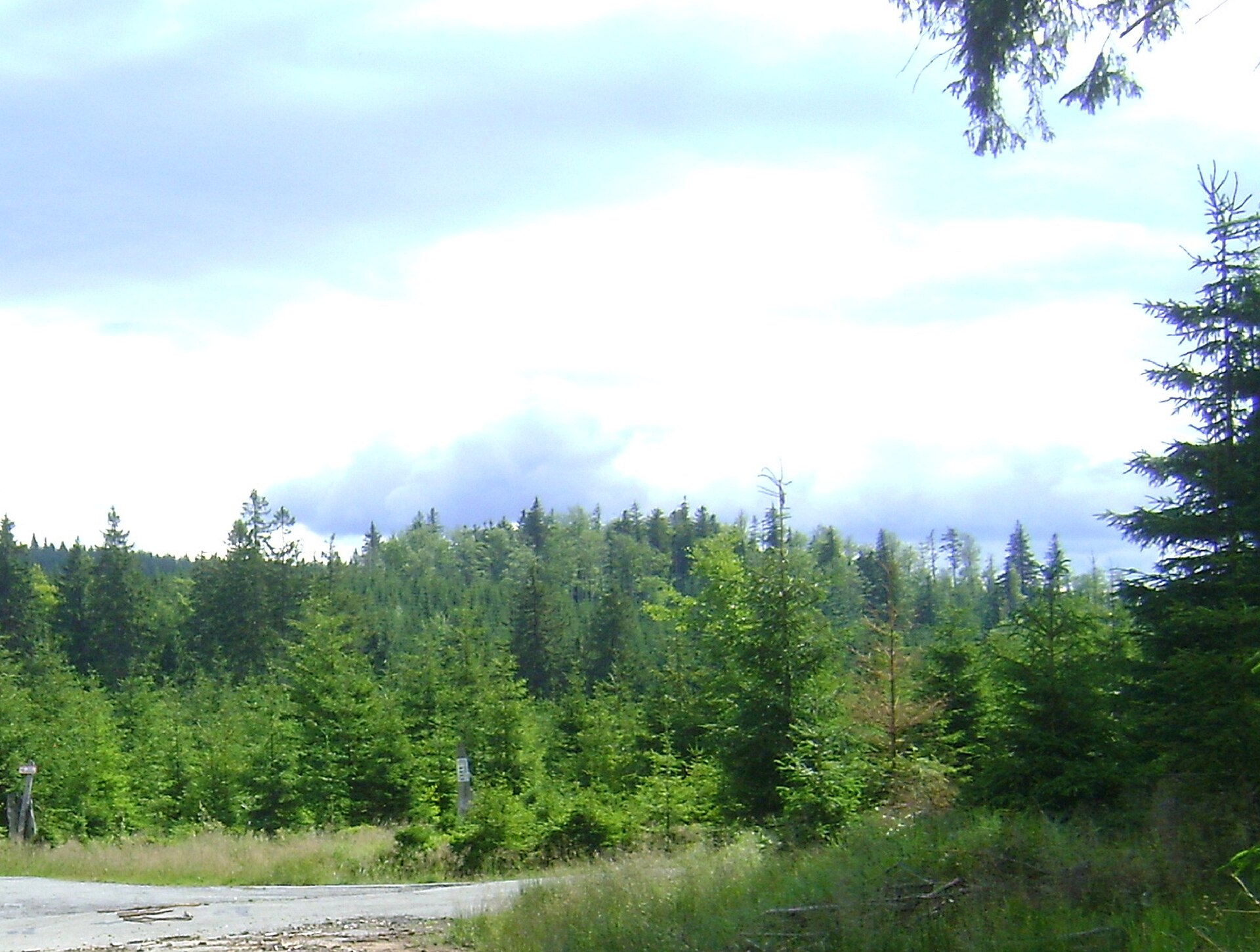 Zawodzisko,
