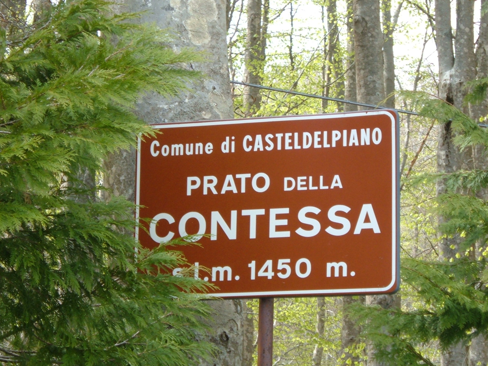 Prato della Contessa